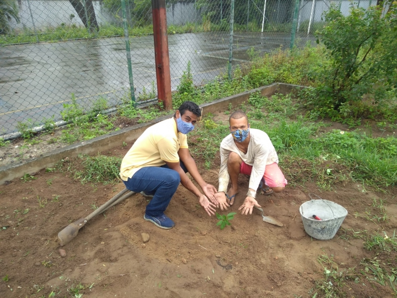 Horta escolar com a produção orgânica é implementada no Colégio Estadual Barros Barreto