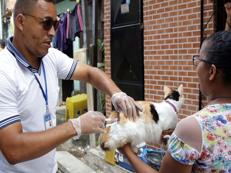 Salvador intensifica vacinação antirrábica até próximo dia 19