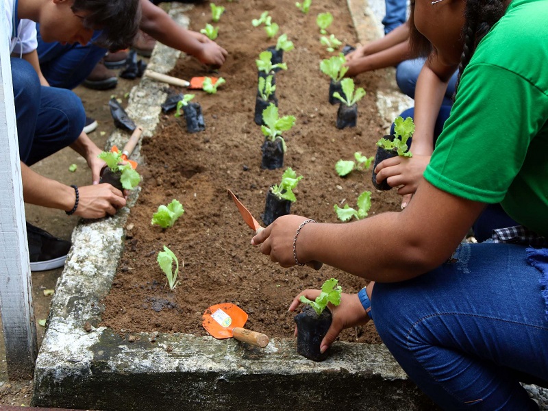 Escola em Ilha de Maré ganhará primeira horta comunitária nesta quarta (13)