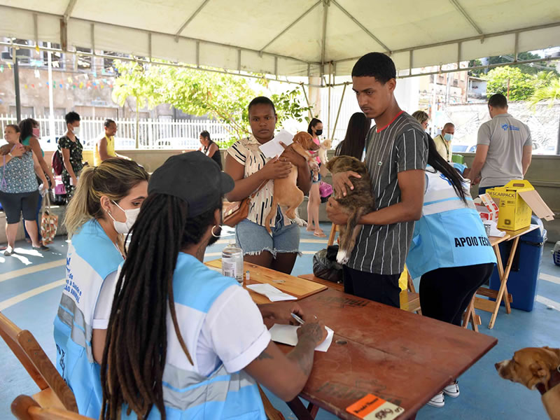 Salvador inicia campanha de vacinação antirrábica animal nesta segunda (31)