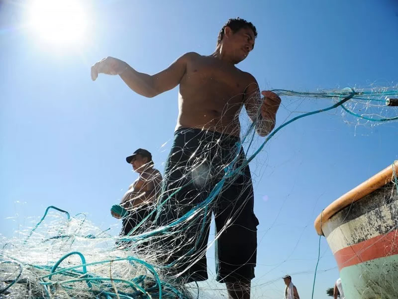 Pescadores seguem com livre acesso às praias para garantir frutos do mar