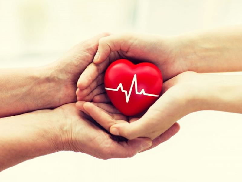 Mais de 289 mil pessoas morreram de doenças cardiovasculares em 2019