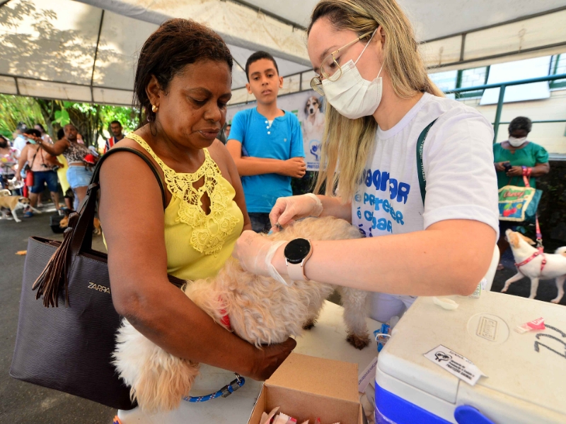Mutirão de aplicação da vacina V10 em cães acontece no Parque da Cidade
