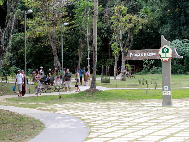 Atividades culturais movimentam domingo no Parque São Bartolomeu